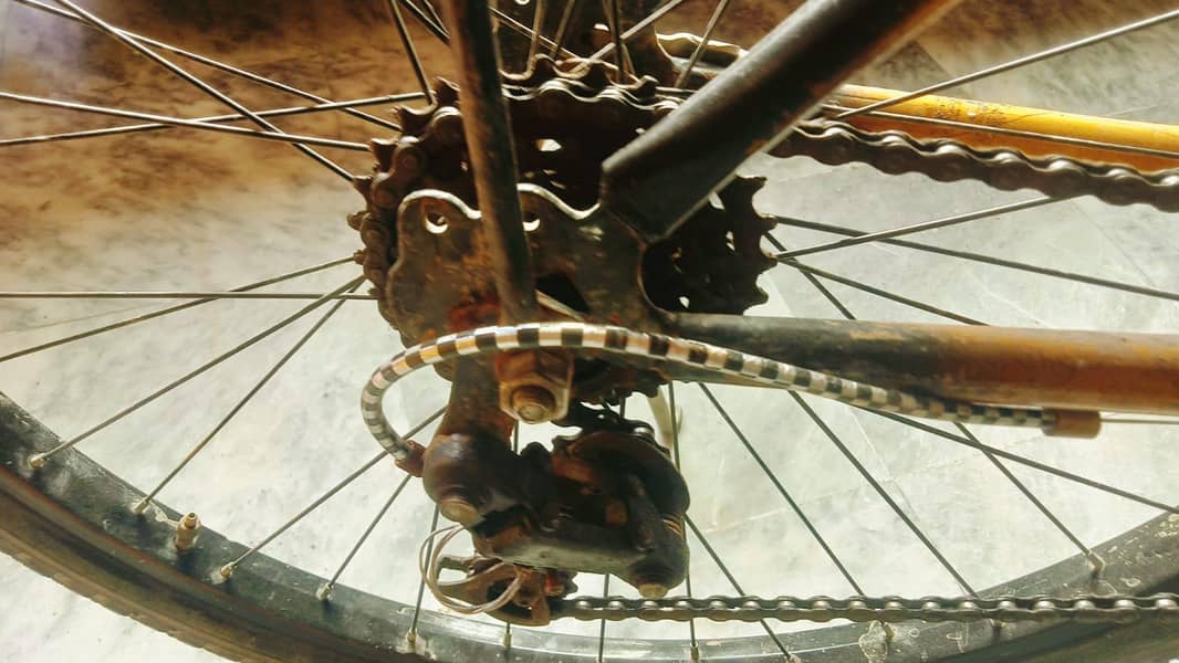 Phoenix cycle 6