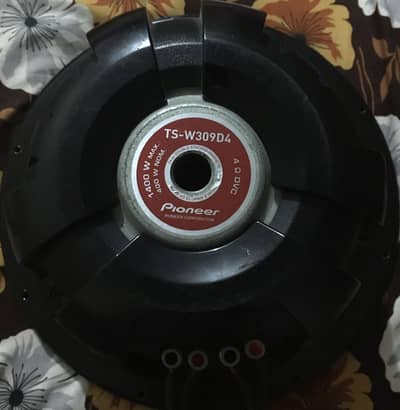 Pioneer Subwoofer 309 D4