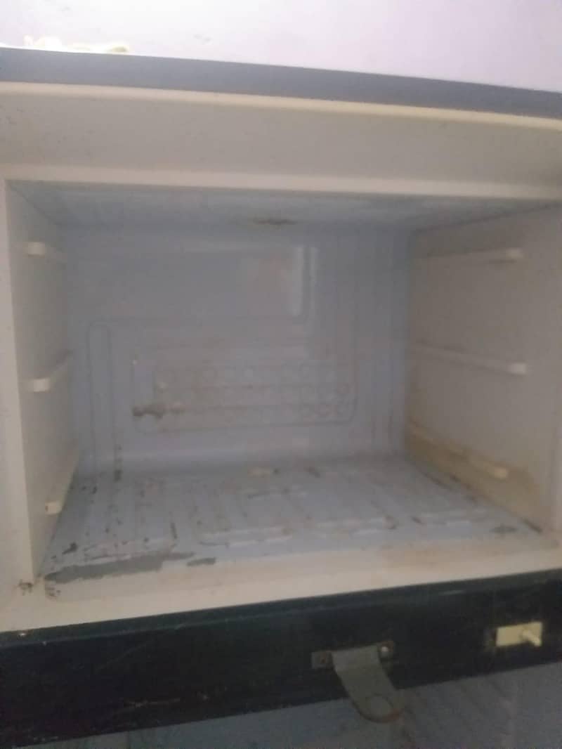 waves frige 1