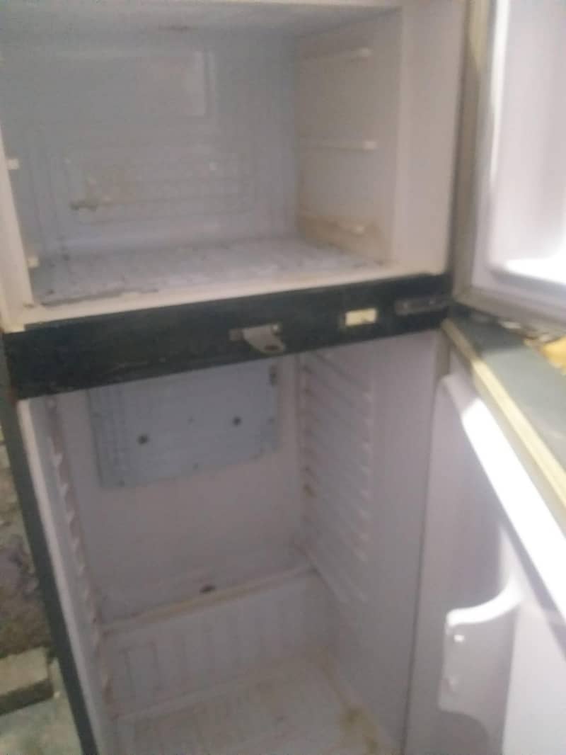 waves frige 2