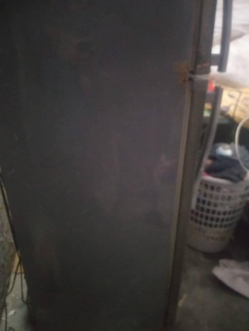 waves frige 4