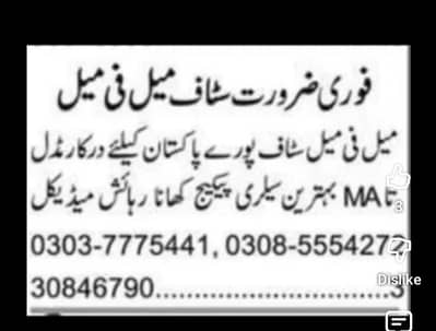 male and female staff recuried 