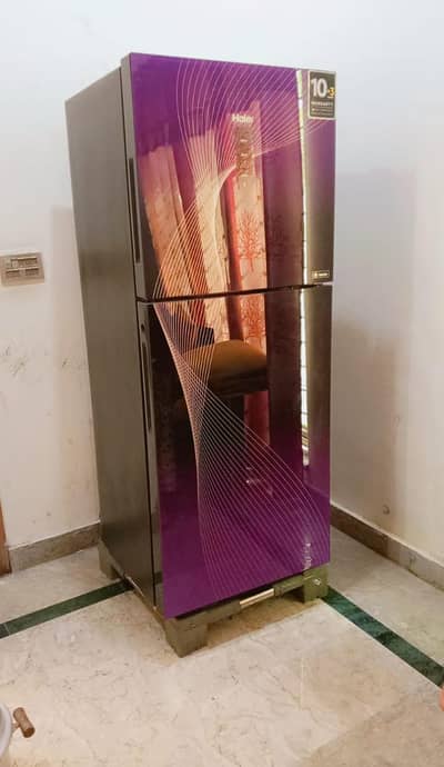 midium frige