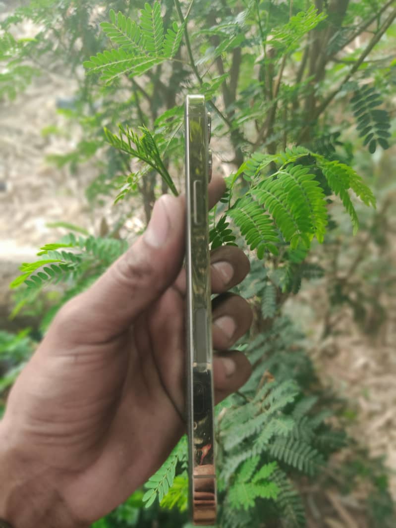 iPhone 12 pro max 2