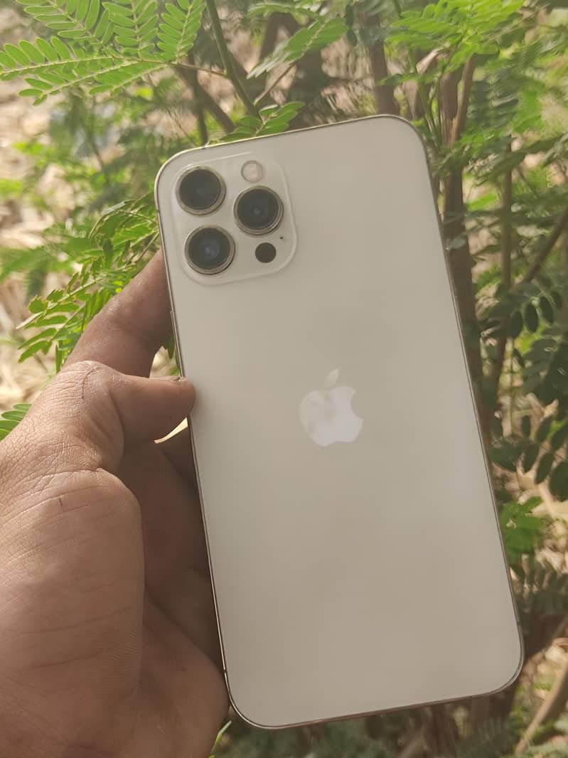 iPhone 12 pro max 3