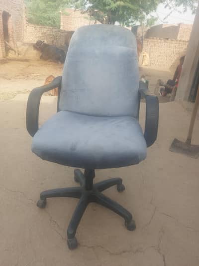chair  brand new possing