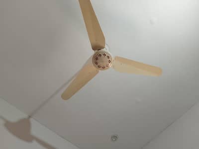 fast fan