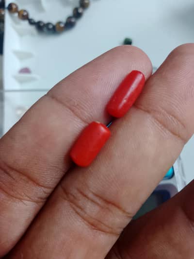 Marjan Natural Coral