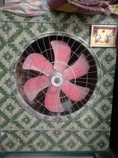 super Asia medium size color 03024355139
