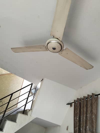 Ceiling Fan for Sale