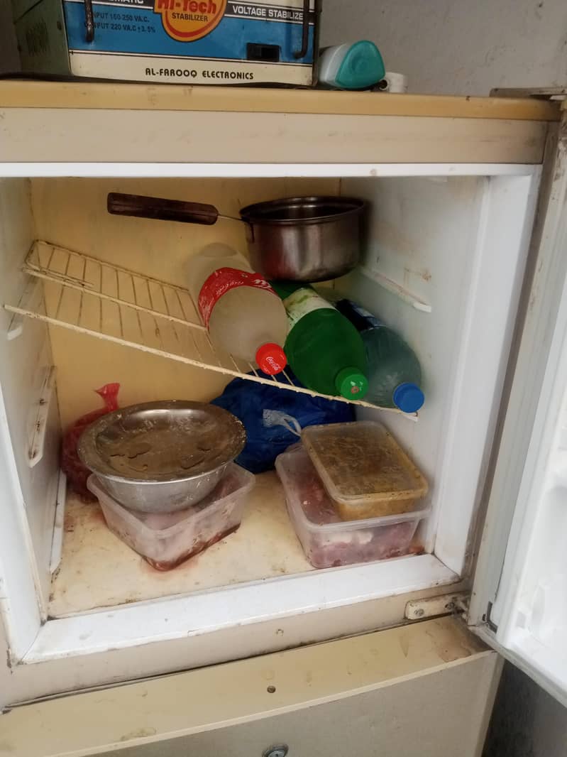 pel freezer 1