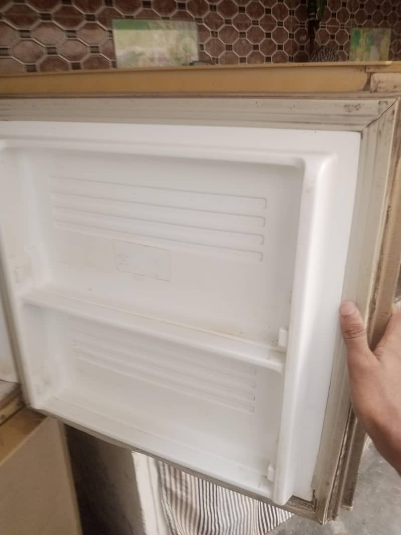 pel freezer 2