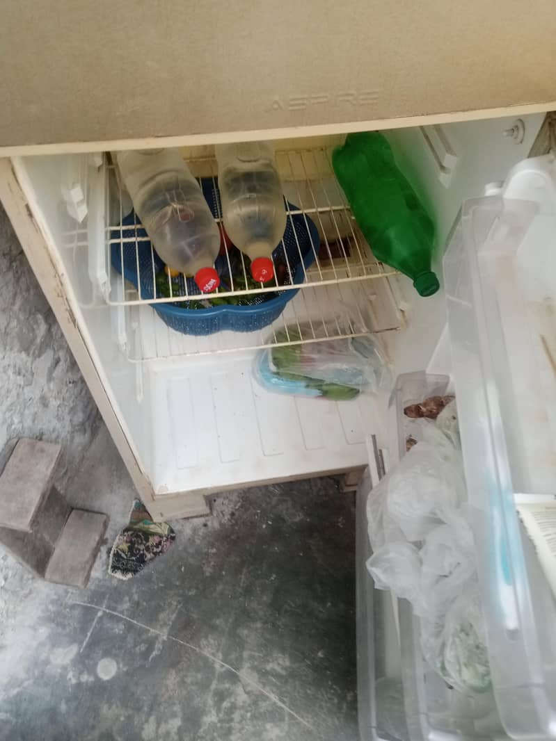 pel freezer 3