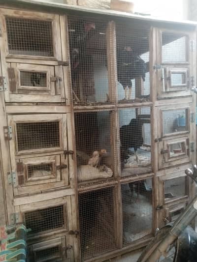 hen cages