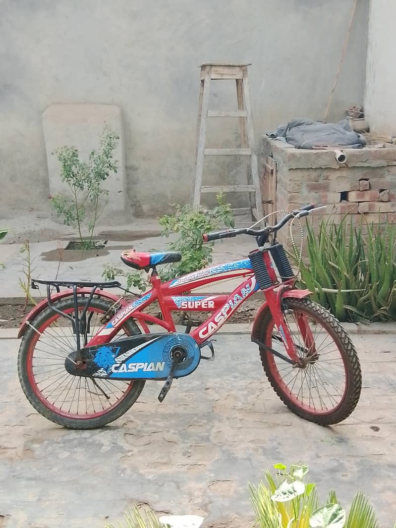 cycle 0