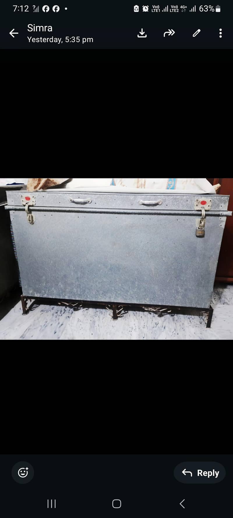 storage trunk 1