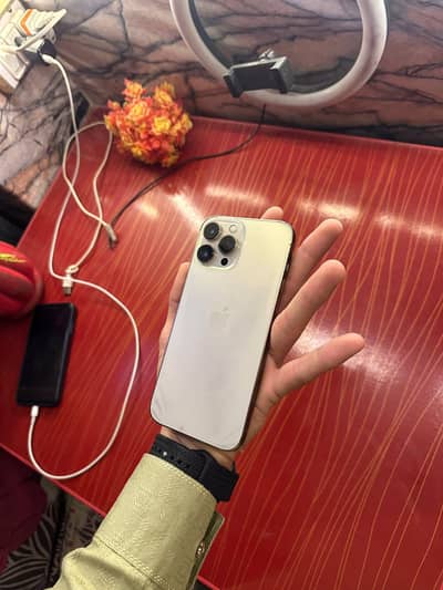 Apple iPhone 13 Pro Max