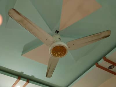 Rehber ceeling fan with new condition in good quality DC/AC fan