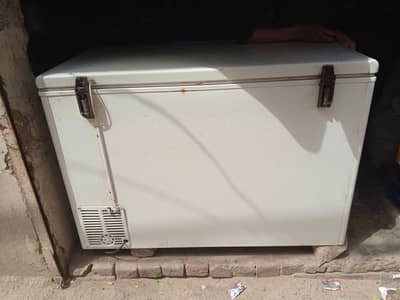 D freezer