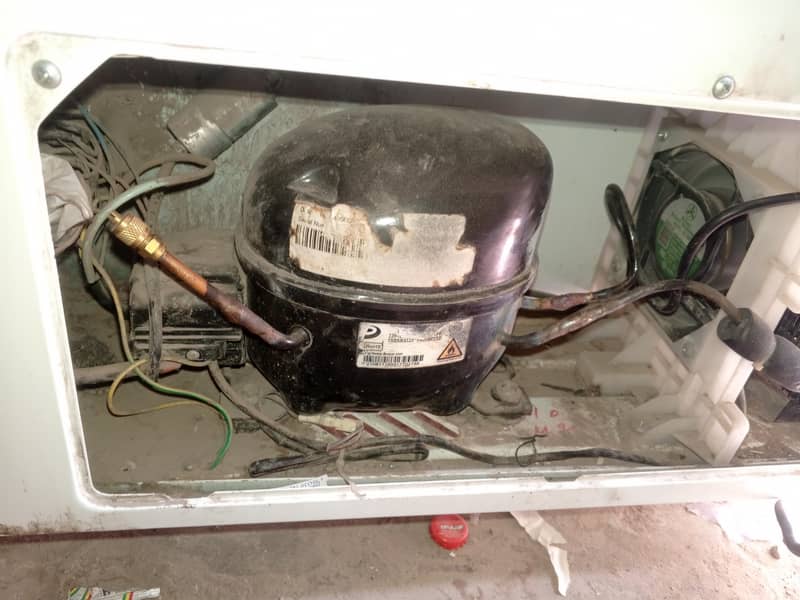 D freezer 2