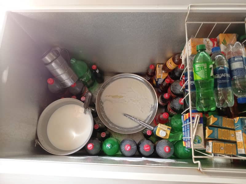 D freezer 4