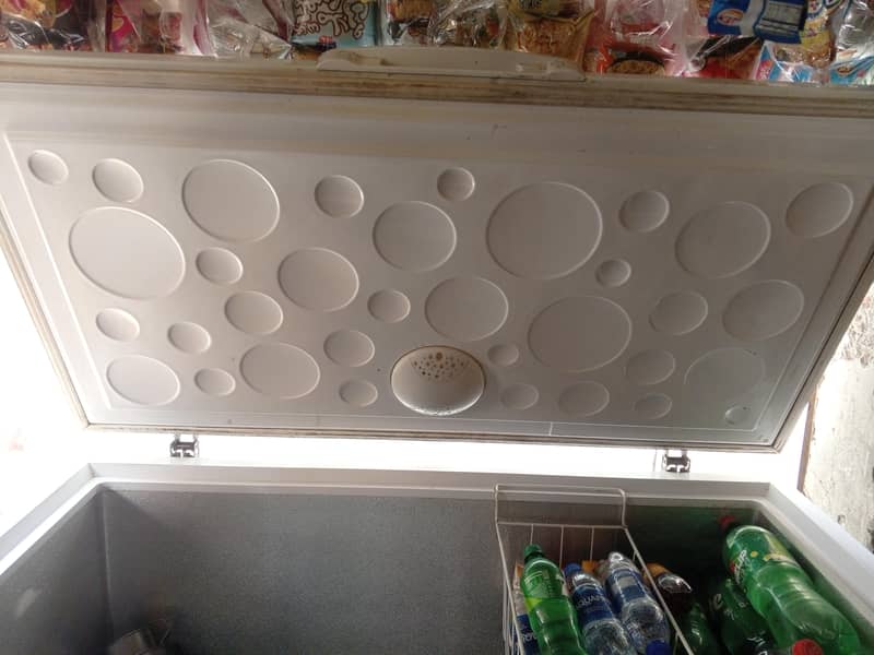 D freezer 5