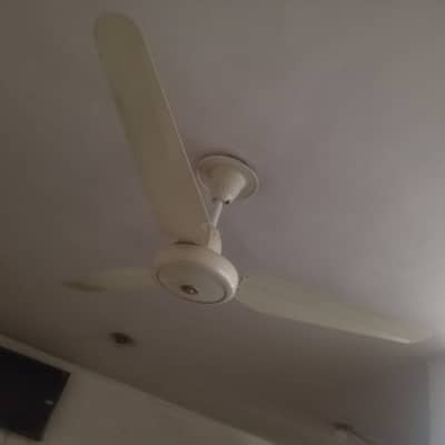 Sealing fan for urgent sale