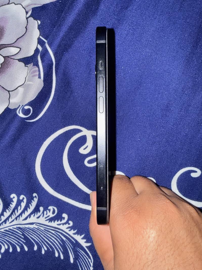 Apple 15 2