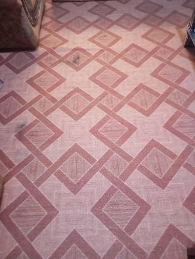 carpet 17 by 11 for sale