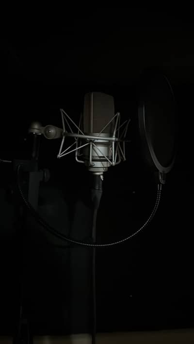 Neuman TLM 103 Professional Studio Mic