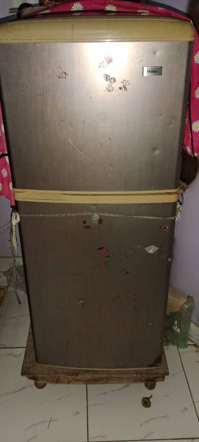 Refrigerator medium hair company
