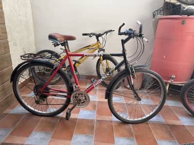 Used Phoenix Cycles for Sale – Good Condition, Minor Maintenance Need