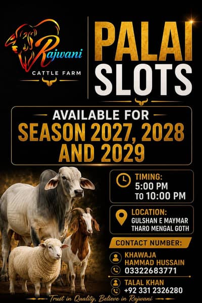 Palai Slots Available