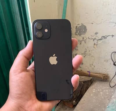 iPhone 12 water pack