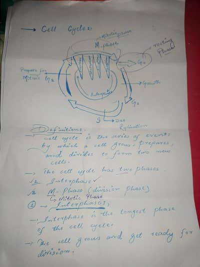 Assignment Writting
