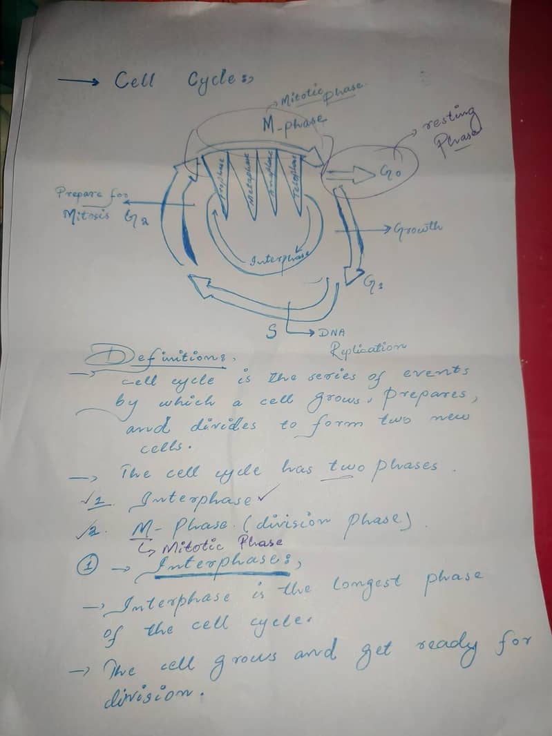 Assignment Writting 0