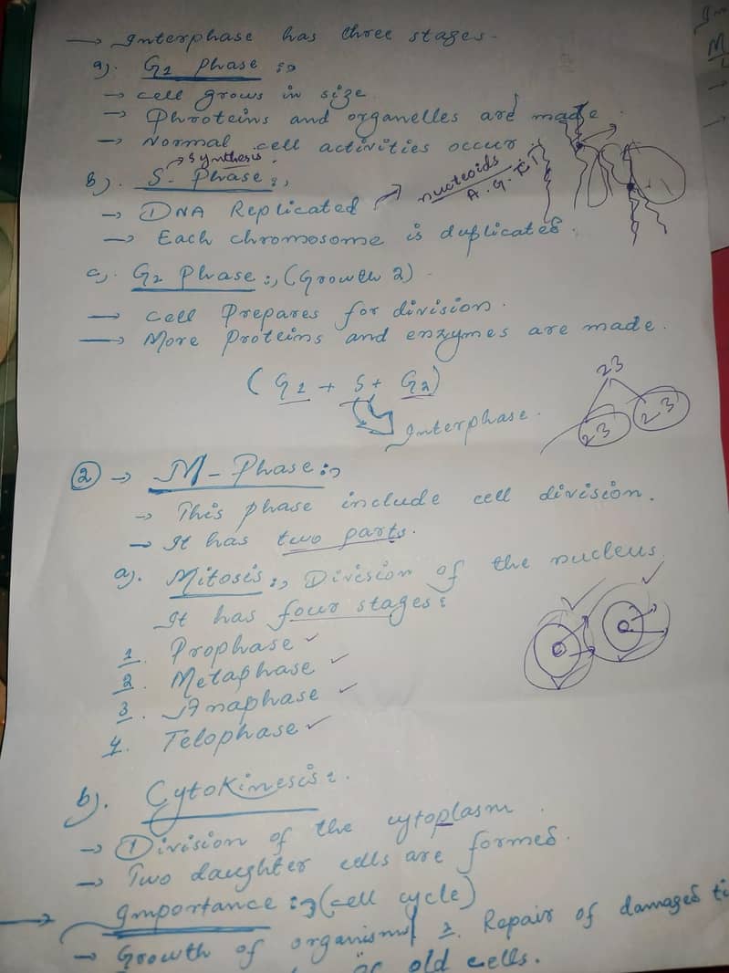 Assignment Writting 1