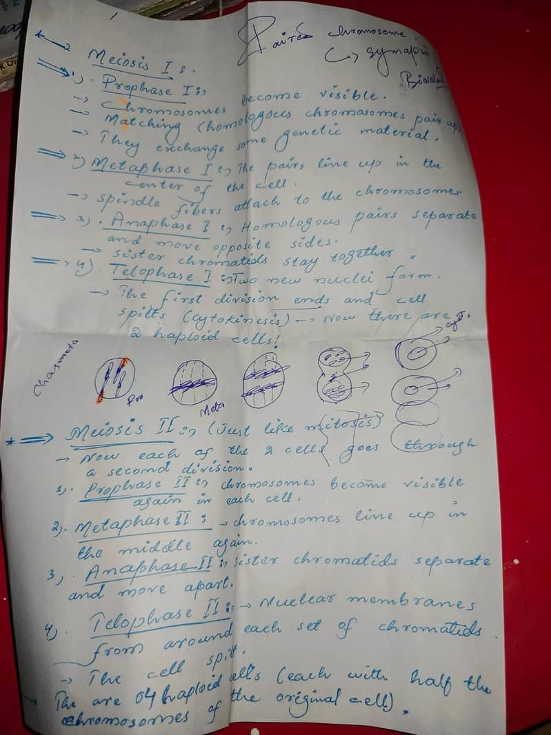 Assignment Writting 2