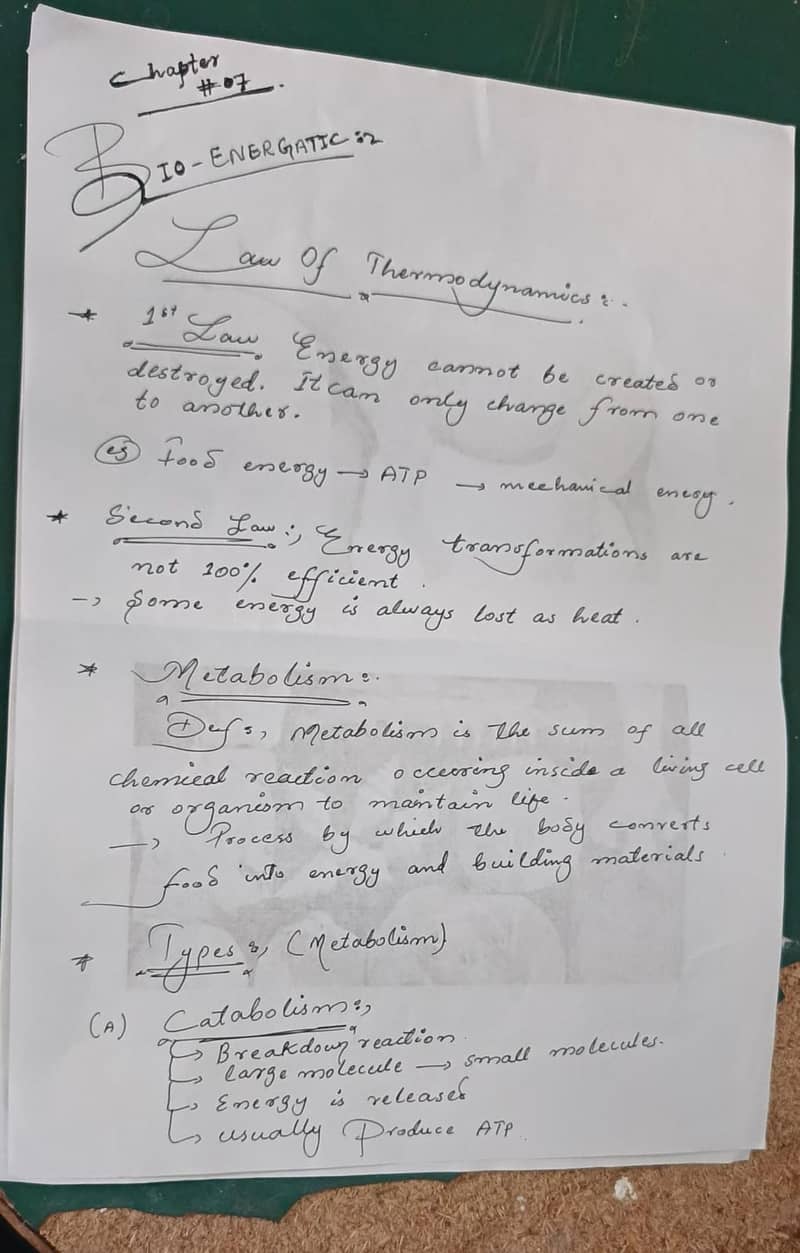 Assignment Writting 3