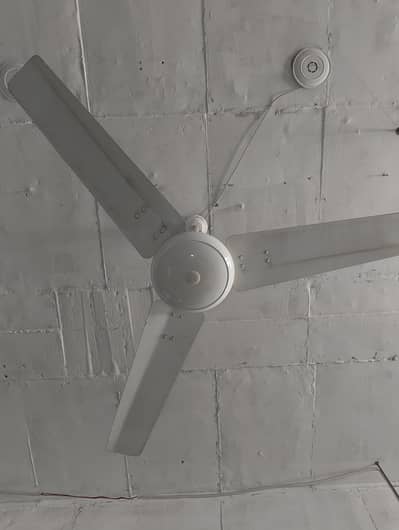 Royal Fans AC/DC Only 2 Months Used