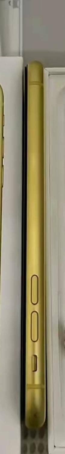 Apple iPhone 11 5