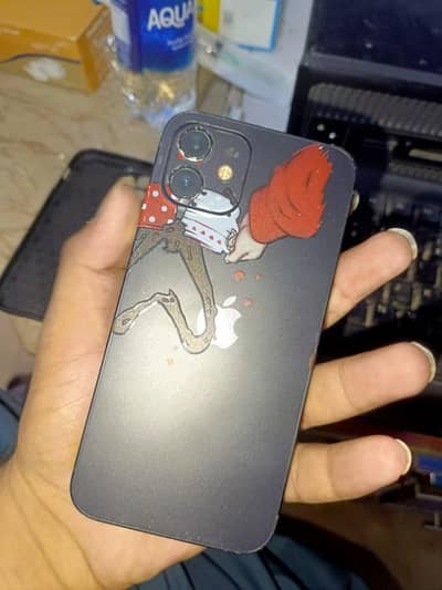 iphone 12 water pack