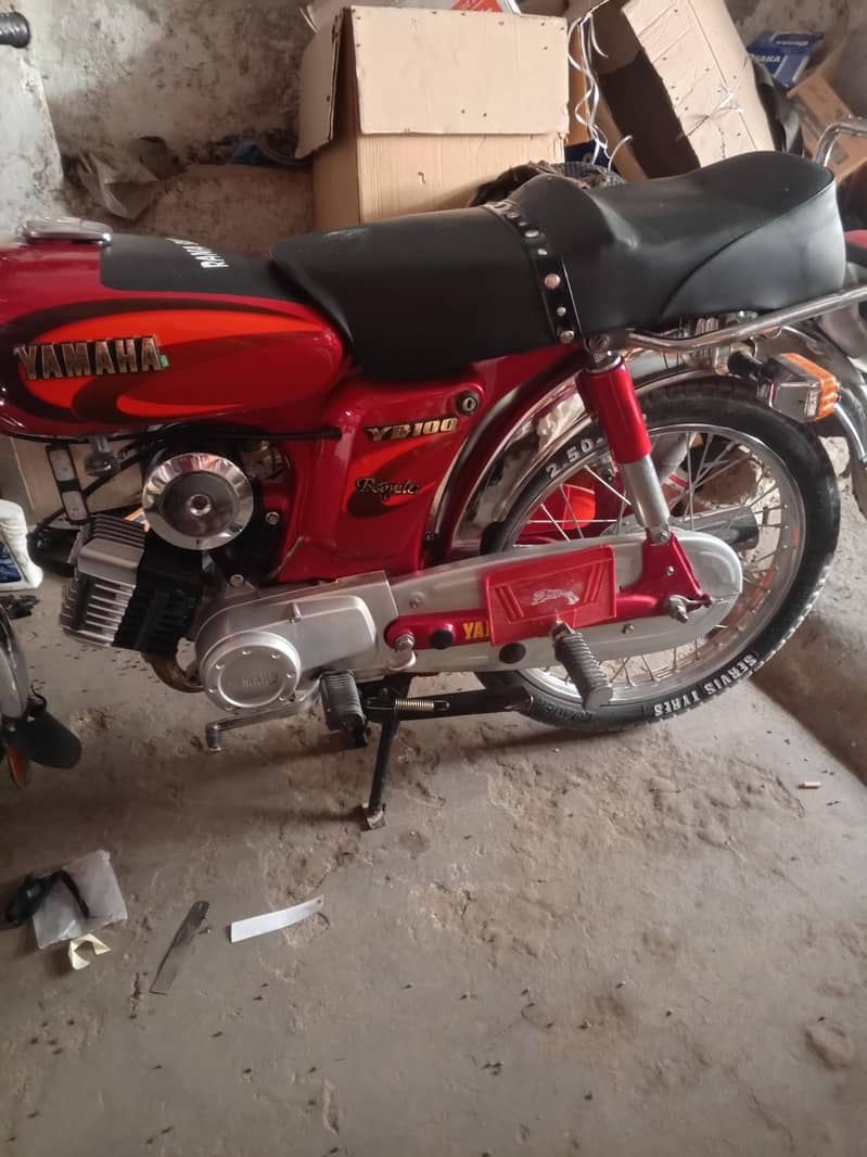 Red surkh 1