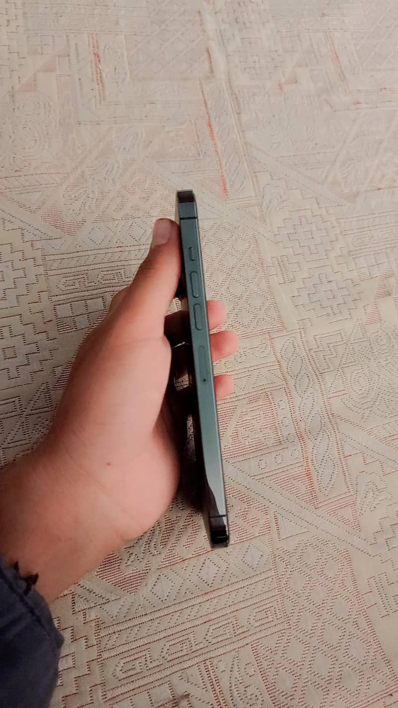 Apple iPhone 13 Pro Max 1
