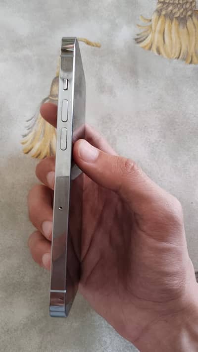 Iphone 14 pro pta approved