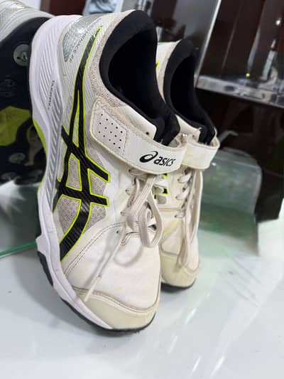Asics Cricket Spikes – UK Size 10 | Australia Imported