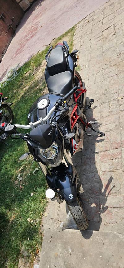 Benelli TNT 150I 2019 / Original Documents | Excellent condition