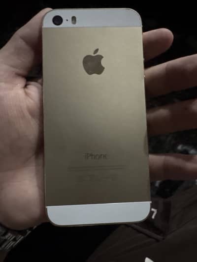 Apple iPhone 5s