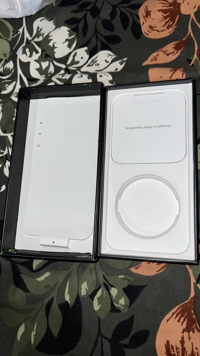 iPhone 13 Pro max 1