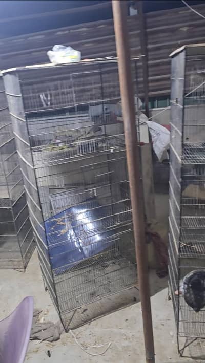 3 Portion Cages For Sale